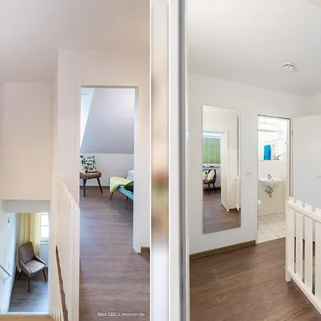 Kormoran Traumstrand *