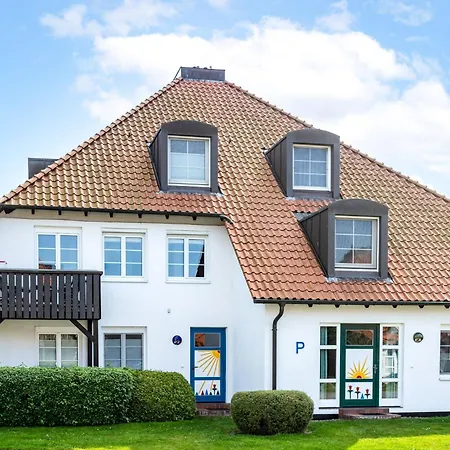 Kormoran Traumstrand *